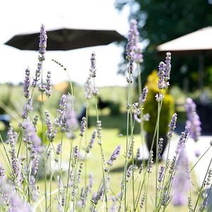 Nature & Chateaux Hotel Villandry Exterior photo