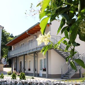 Pension Am Ziegelwall Hotel Bautzen Exterior photo