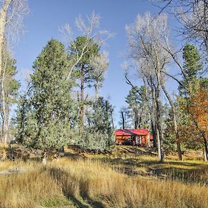 Cozy Colorado Cabin With Deck, Grill And River Access! Buena Vista Exterior photo