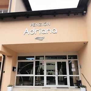 Penzion Adriana Hotel Nove Mesto nad Vahom Exterior photo