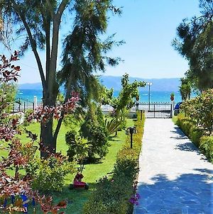 Amarynthos Beachfront Vacation House With Garden Villa Vatheia Exterior photo