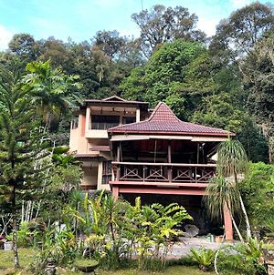 Purimai Jungle House In The Heart Of Kuala Lumpur Villa Exterior photo