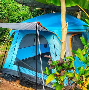 Tioman Juara Camping Style Family Hotel Exterior photo