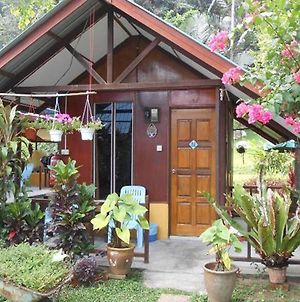 Cheers Chalet Villa Pulau Tioman Exterior photo