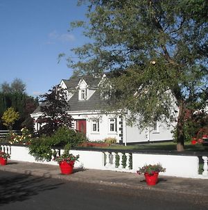 Briar Lodge Bunratty Exterior photo