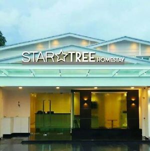 Star Tree Homestay Kuantan Exterior photo
