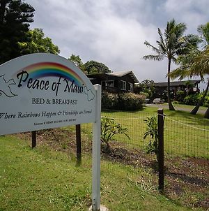God'S Peace Of Maui Bed & Breakfast Makawao Exterior photo