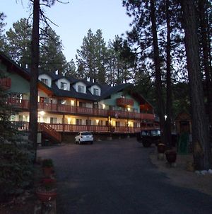Honey Bear Lodge Cabins Big Bear Lake Exterior photo