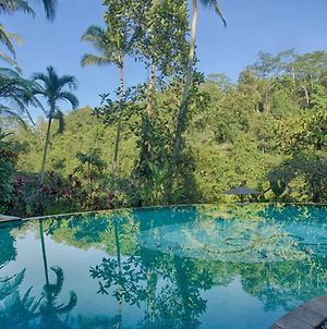 Anahata Villas And Spa Resort Bali Exterior photo