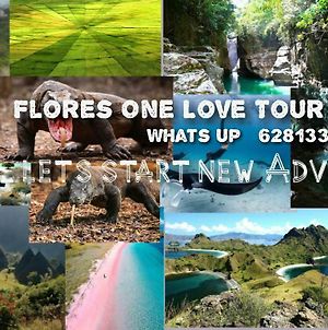 Flores One Love Homestay And Tours Labuan Bajo Exterior photo