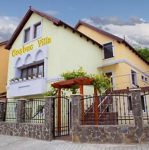 Cosbuc Residence & Villa Sighisoara Exterior photo