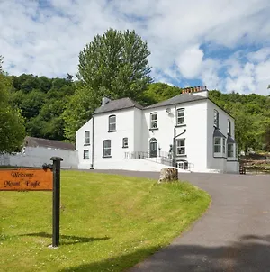 Mount Eagle - Sleeps 24 Villa Limerick Exterior photo
